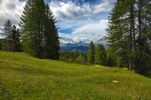 Hike 5 3560